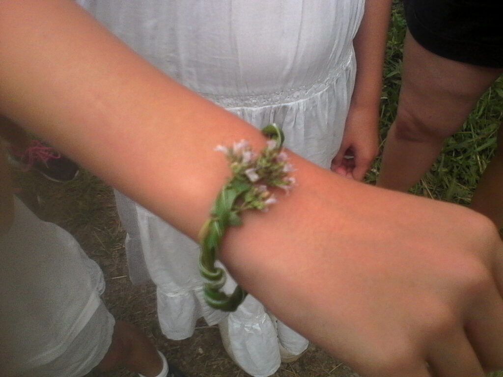 Contes2
